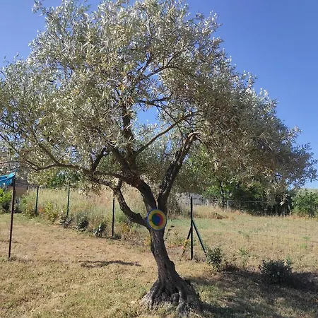 Villa Location Saisonniere A La Campagne *