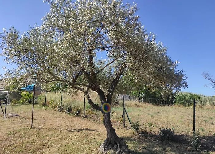 빌라 Location Saisonniere A La Campagne *